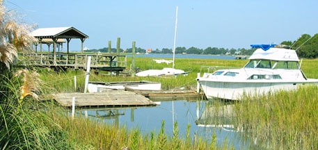Savannah Tides