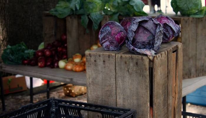 Forsyth Park Farmers’ Market in Savannah Georgia
