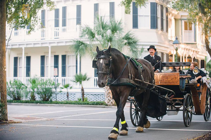 Historic Savannah Carriage Tours