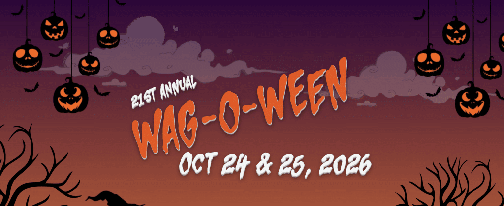 It's Fall Festival Season in Savannah!