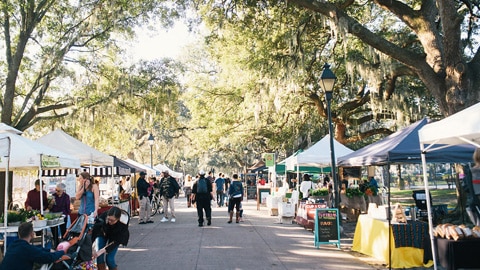 Top 10 Things to. forsyth park farmers market