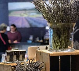 Soothe and Rejuvenate in Savannah. A plant which may be lavender