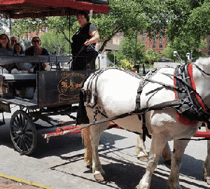 10 Ways To Tour. A guided carriage rise