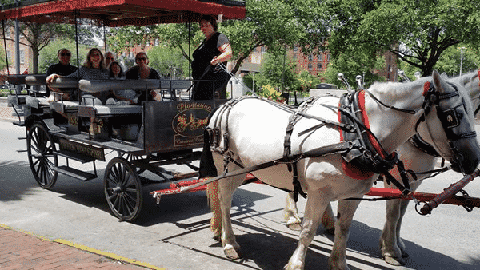 10 Ways To Tour. A guided carriage rise