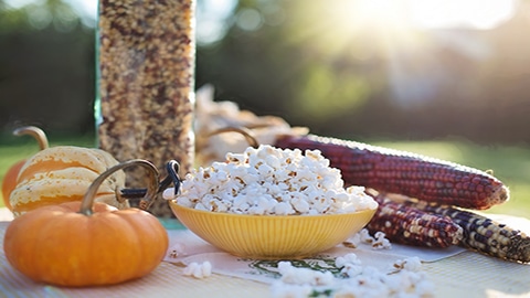 Fall Festivals in Savannah. popcorn and pumpkins