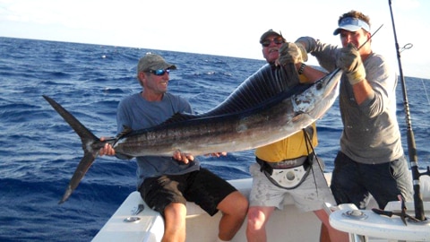 Reel Em N Deep Sea Fishing Charters