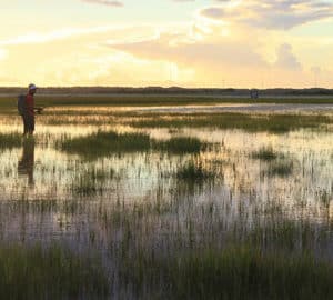 Salt Marsh Transformation
